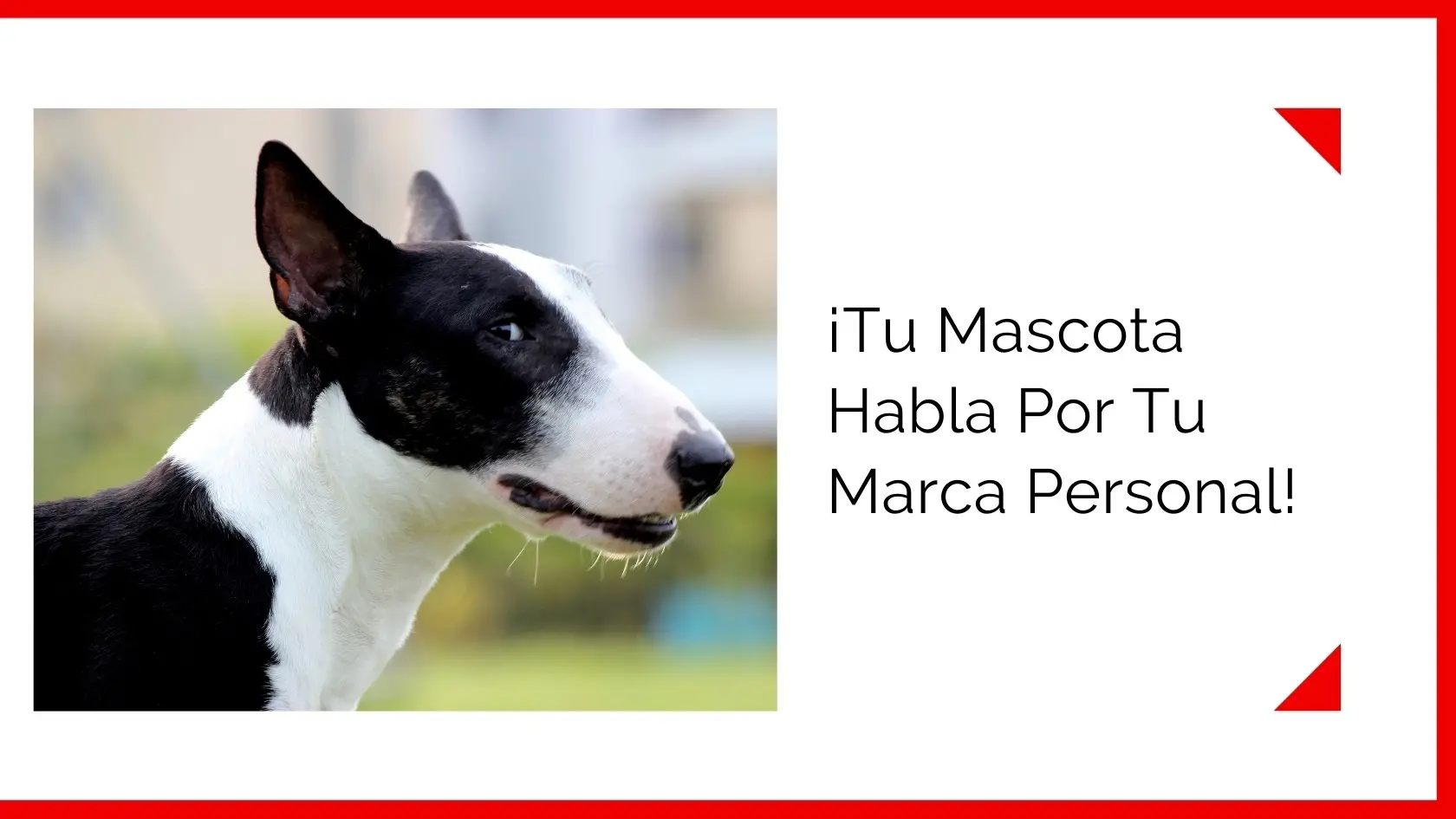 Hector-Jimenez-Tu-Mascota-Habla-Por-Tu-Marca-Personal-1-1
